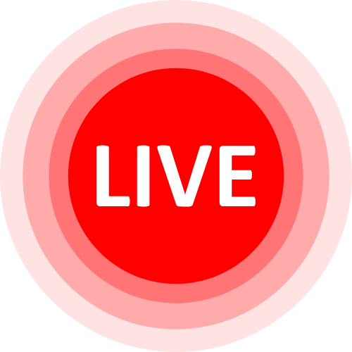 Lovense Device
